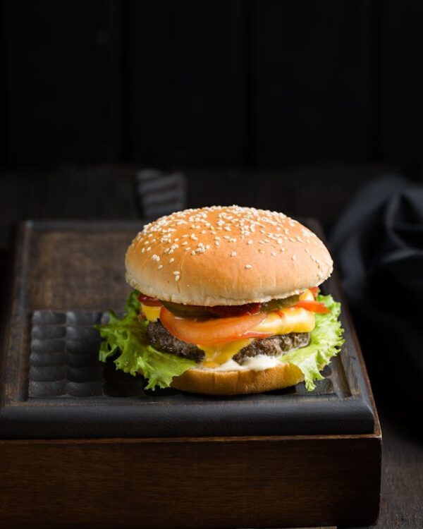Laziz Gourmet burger